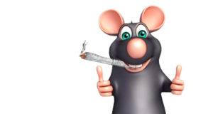 CBD may help addicts, alcoholics stay on the wagon