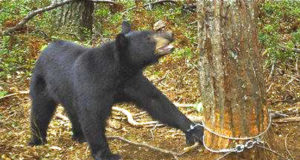 And another new lawsuit