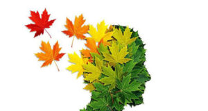 The science of how nature positively affects our brains