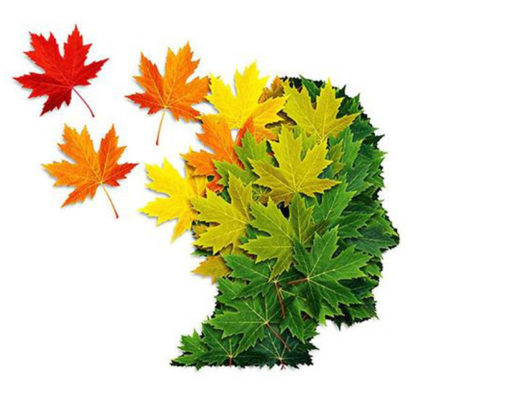 The science of how nature positively affects our brains