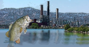 Something fishy’s going on at Valmont Reservoir