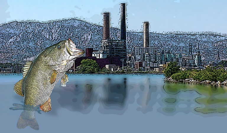 Something fishy’s going on at Valmont Reservoir