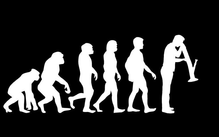 Evolve or die