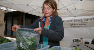 Outstanding in their field