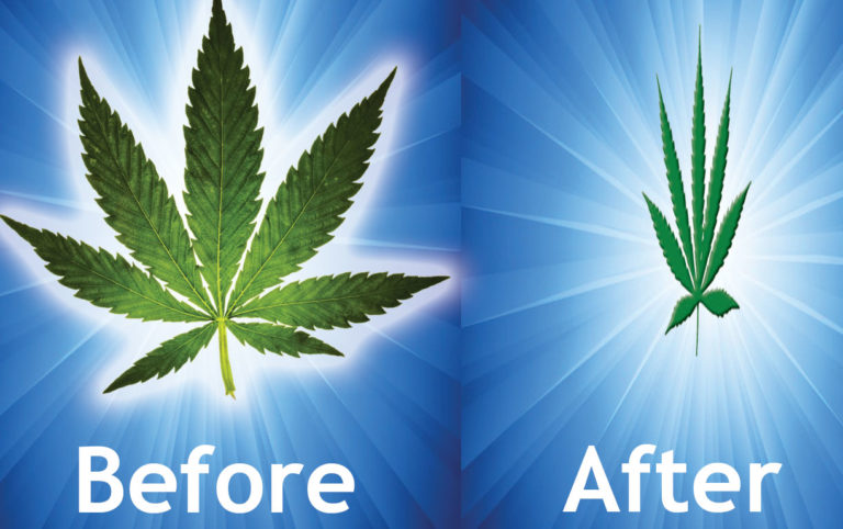 Can weed help you lose weight?