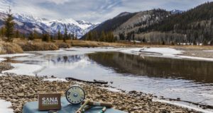 Aligning plant with plant