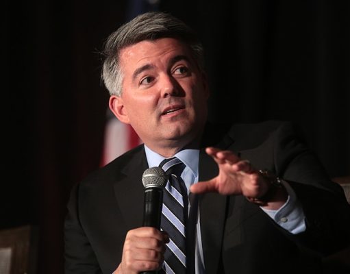 January pot politics roundup