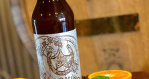 New in brew: Bridge beers