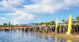 Summer Scene Sports Calendar 2018