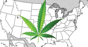 War to end the war on pot — latest battles