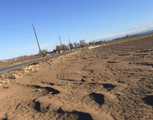 It’s not the answer that’s blowing in the wind