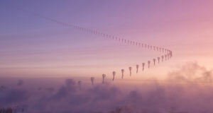 Scientific mystery: Who is still producing this ozone- destroying chemical?