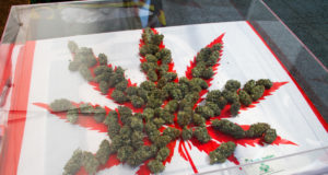 Canadian parliament just legalized marijuana