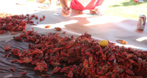 Crack, twist, crush and slurp