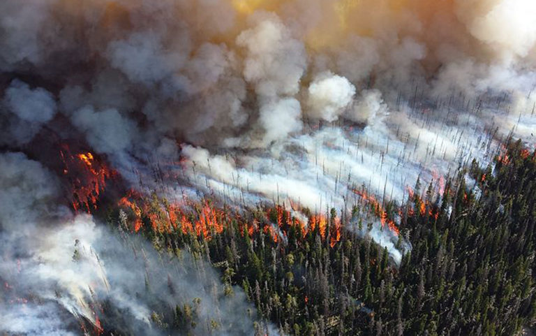 Little fires everywhere, outdoor dining here to stay