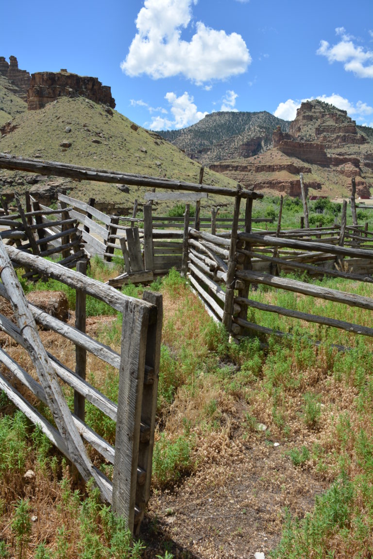A closed gate, a lawsuit and the First Amendment