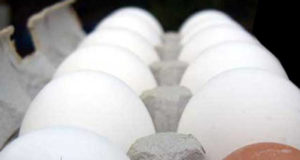 Dispensaries take high road on ‘Permit Patty’