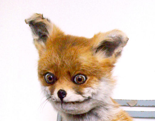 Don’t let your dog eat your weed