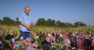 What has become of the American farm?