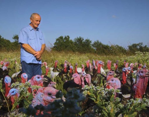 What has become of the American farm?