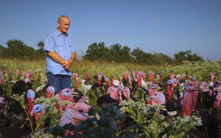 What has become of the American farm?