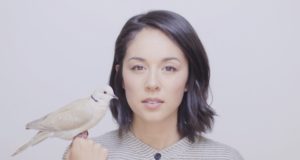 Waiting for birdsongs