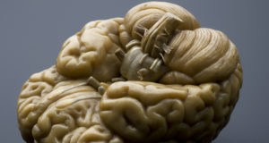 Taking a tolerance break