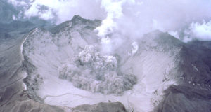 Geo-engineered crops may help — and harm