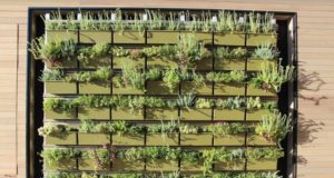 The future is (hopefully) green