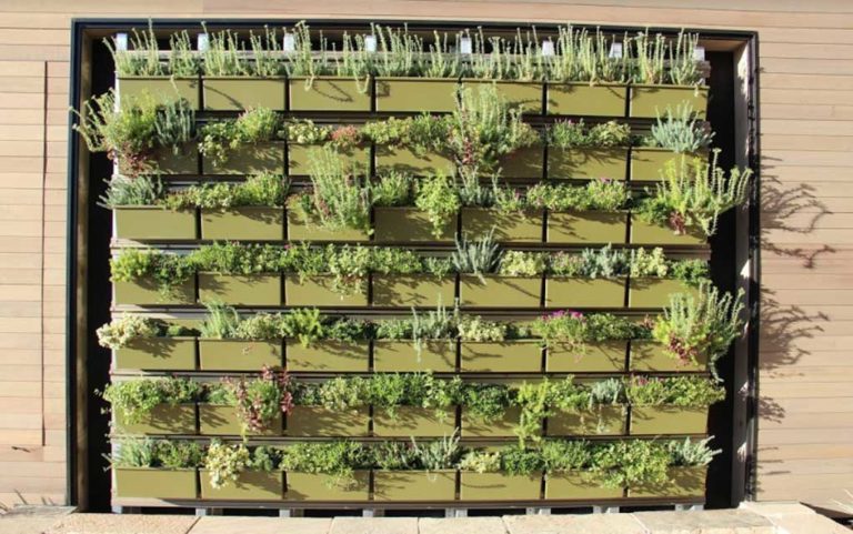 The future is (hopefully) green