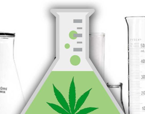 Finding out how pot does its thing — it’s complicated