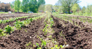 Boulder food farmers claim City is shutting them out of Open Space land
