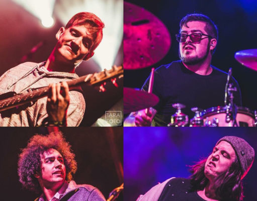 Magic Beans: Meet bass player Chris Duffy