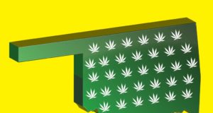 Now Oklahoma may vote on recreational pot (no kidding)