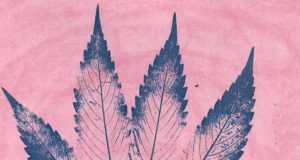 THC tolerance break: Week two/conclusion