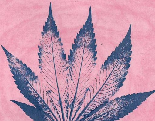 THC tolerance break: Week two/conclusion