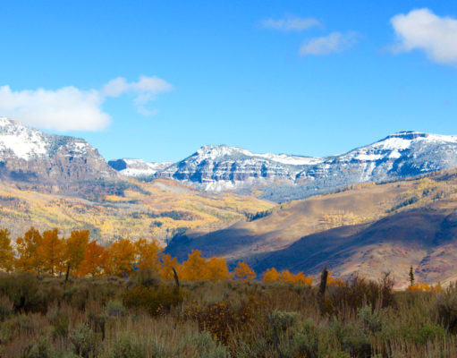 The inertia of nitrogen pollution