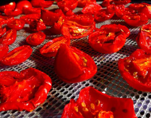 The best tomato ever