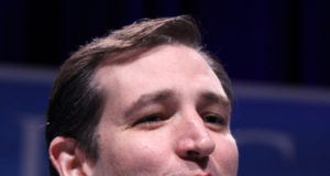 Marijuana heats up Texas Senate race