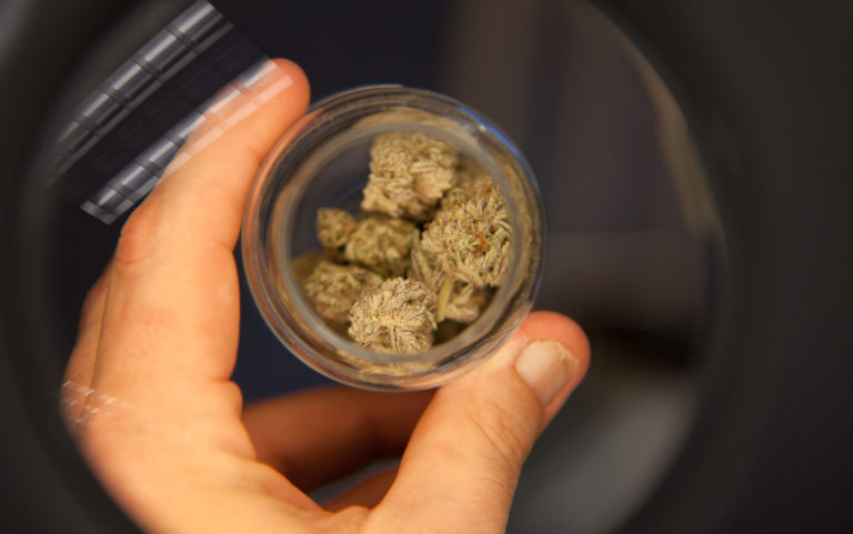 Marijuana Use Disorder: The weaponization of mental health