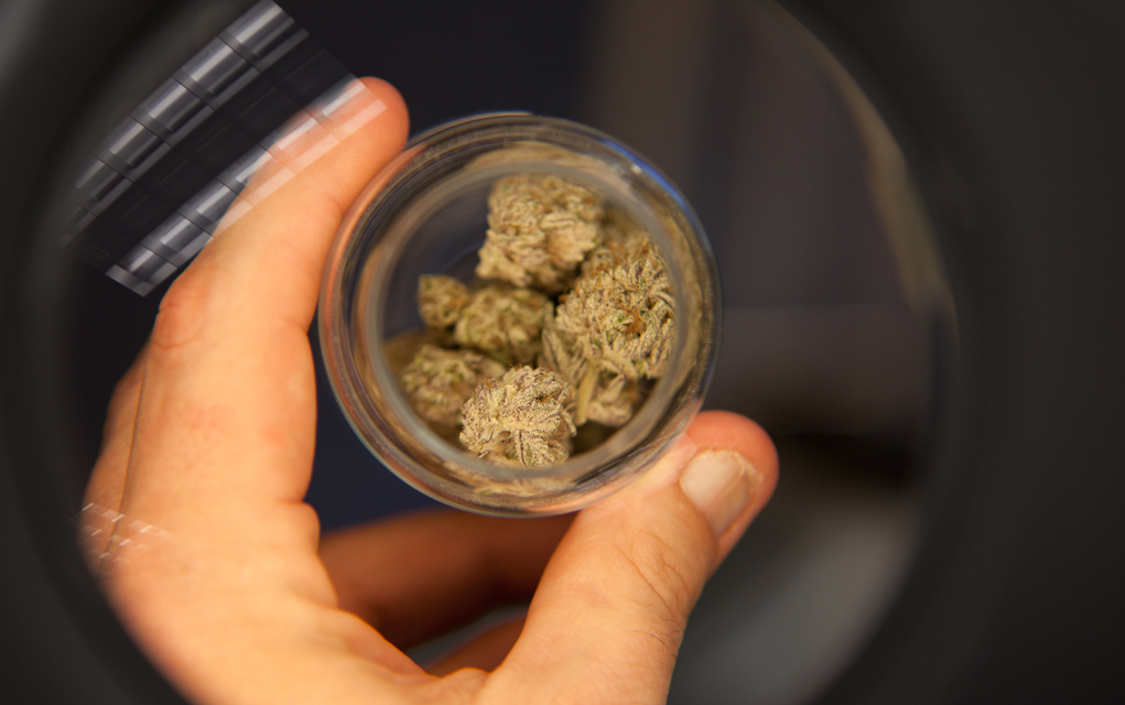 Marijuana Use Disorder: The weaponization of mental health
