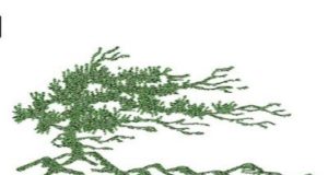 Council acted in Boulder’s best interests