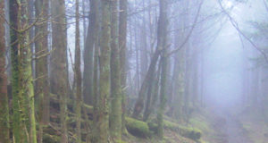 A Body Built of Folk and Lore