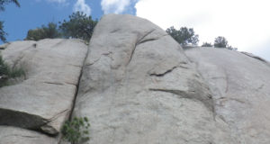 Biologist recruits rock climbers to help save Colorado’s bats