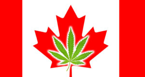 Canada take one: Weed is legal there so I’m moving