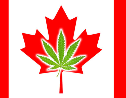 Canada take one: Weed is legal there so I’m moving