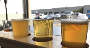 Tour de brew: Stein Brewing Company