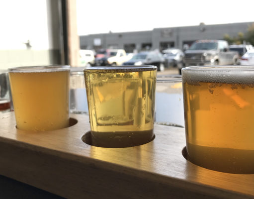 Tour de brew: Stein Brewing Company