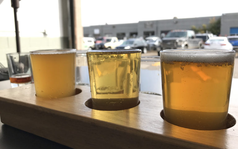 Tour de brew: Stein Brewing Company