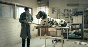 The world comes to DFF